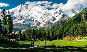 Fairy Meadows & Nanga Parbat